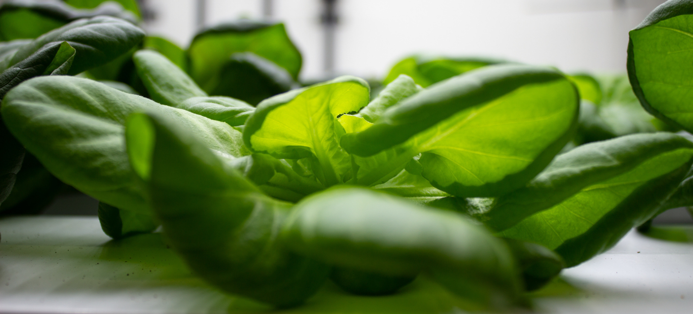 The AgTech Ecosystem: Strategic Partners Driving Our Growth