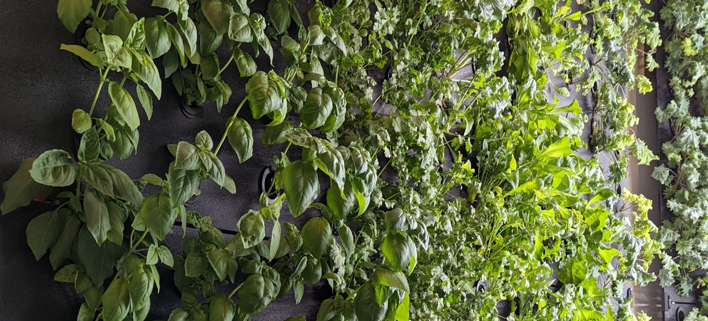 Funding Your Indoor Farm: Canadian Grants, Incentives, and Partnerships