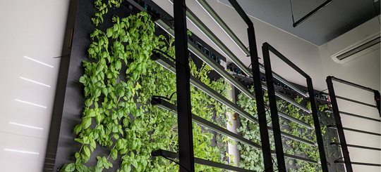 Indoor Farming Systems Explained