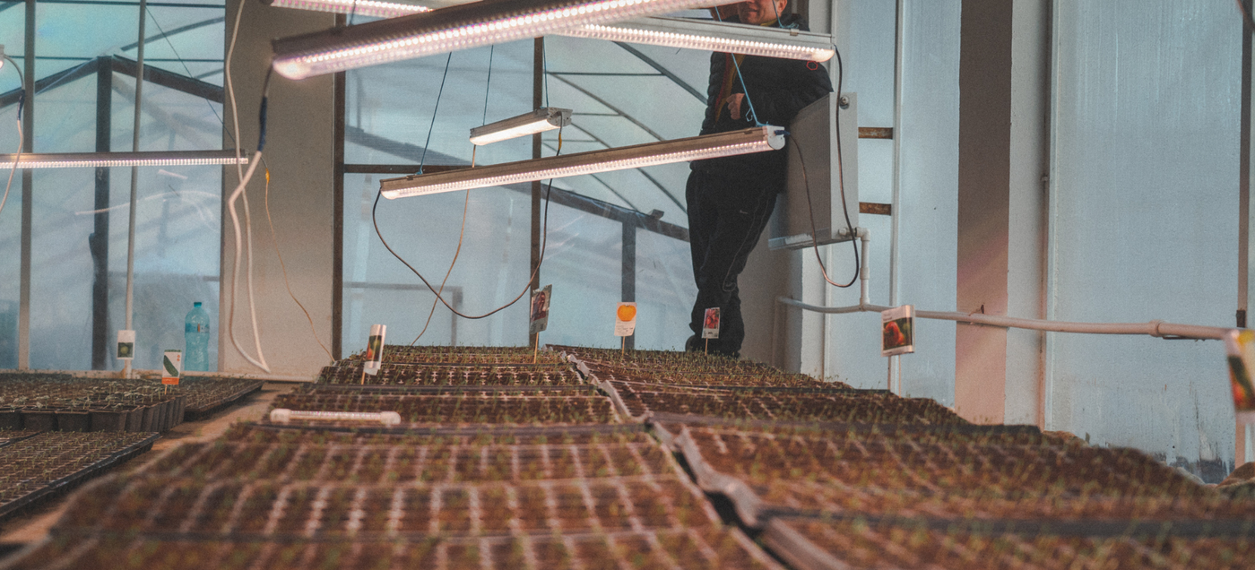 2026 In Focus: 5 Top Companies Growing In Indoor Farming