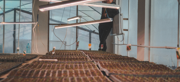 2026 In Focus: 5 Top Companies Growing In Indoor Farming