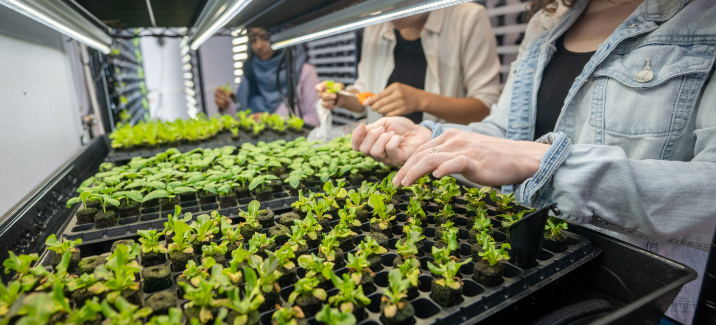 Hydroponics for Schools: Building a STEM Garden from Scratch