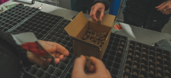 Improving Our Global Food System with Indoor Farming