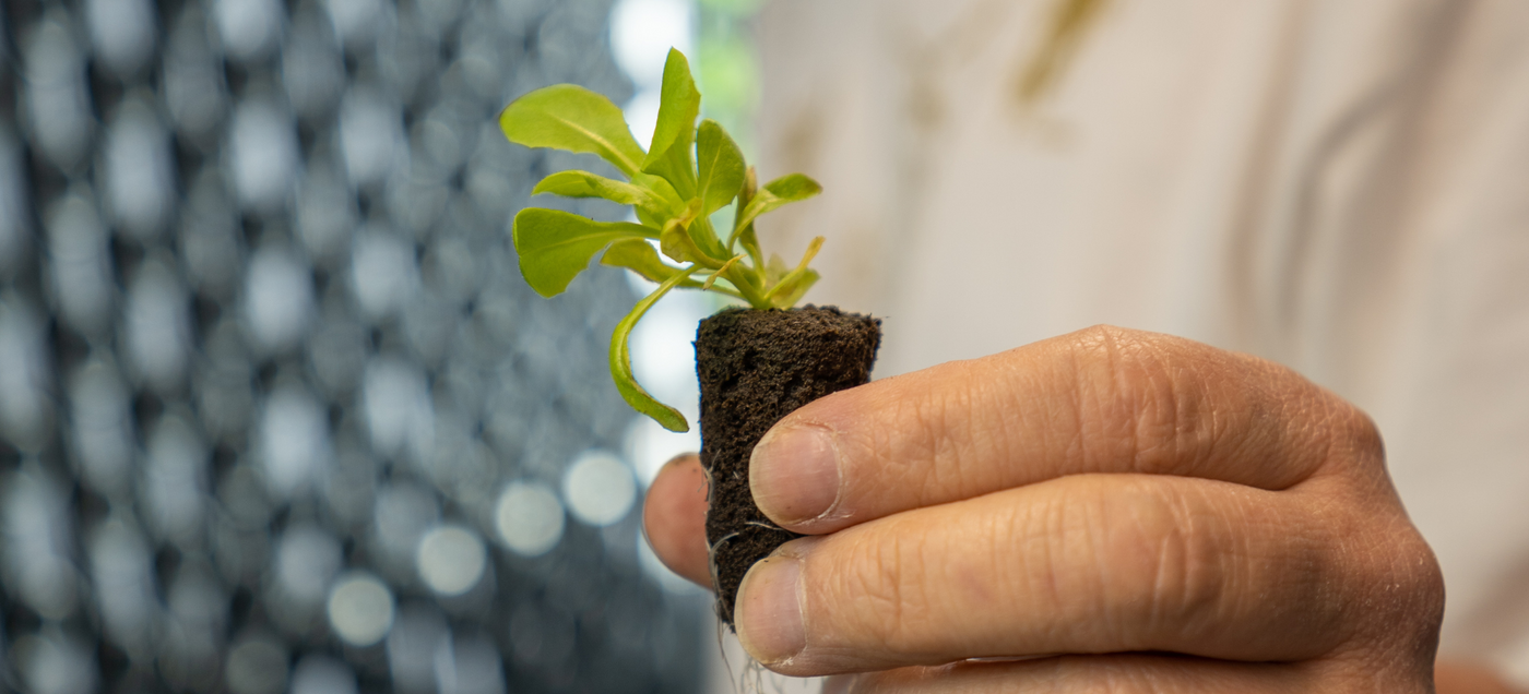 Beyond Emergency Relief: Vertical Farming as a Pillar of Food Sovereignty