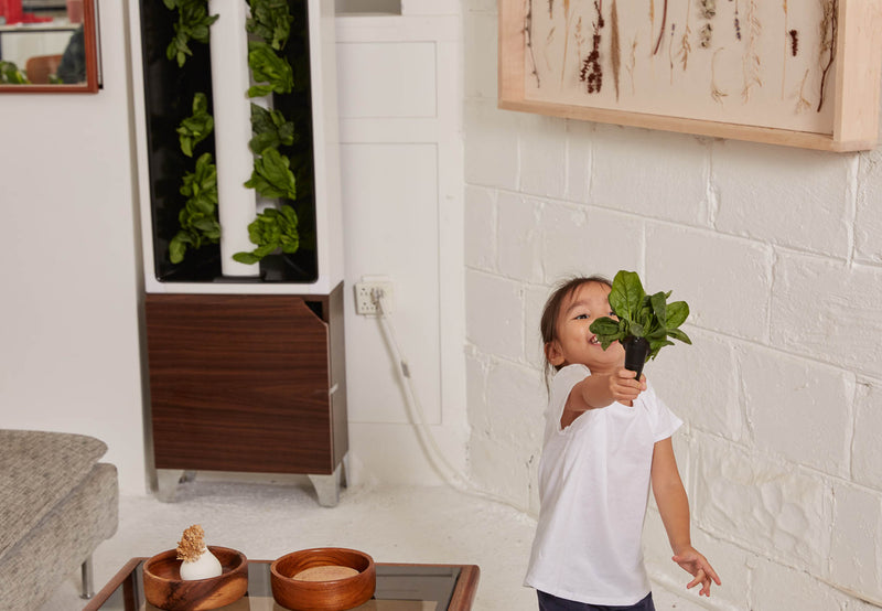 Indoor Farming: What It Is & Why It Matters