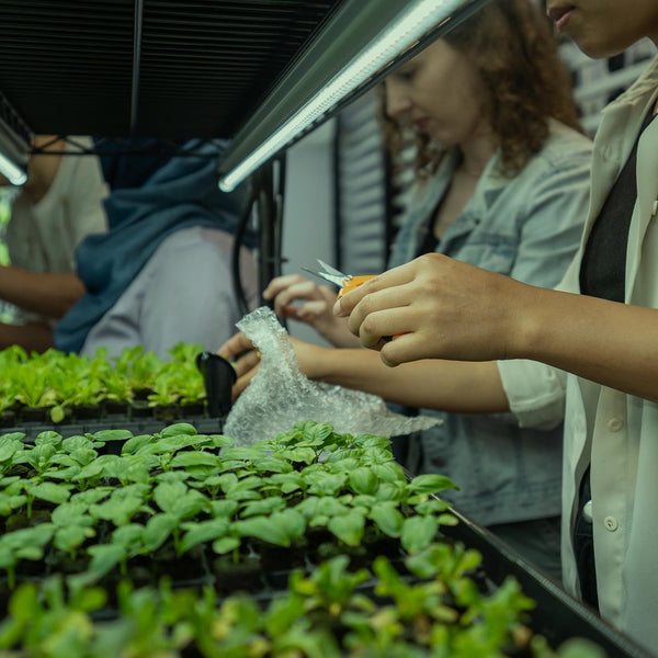 Bioavailability Over Pills: Why 2026 is the Year of the Vertical Green