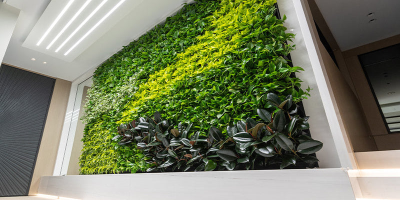 Top 5 Trends and Innovations In Vertical Farming