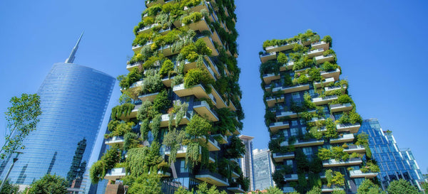Northern Resilience: 5 Canadian Vertical Farming Start-ups Solving Food Security in 2026