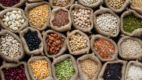 FAO Food Price Index: What It Is and What It Tracks