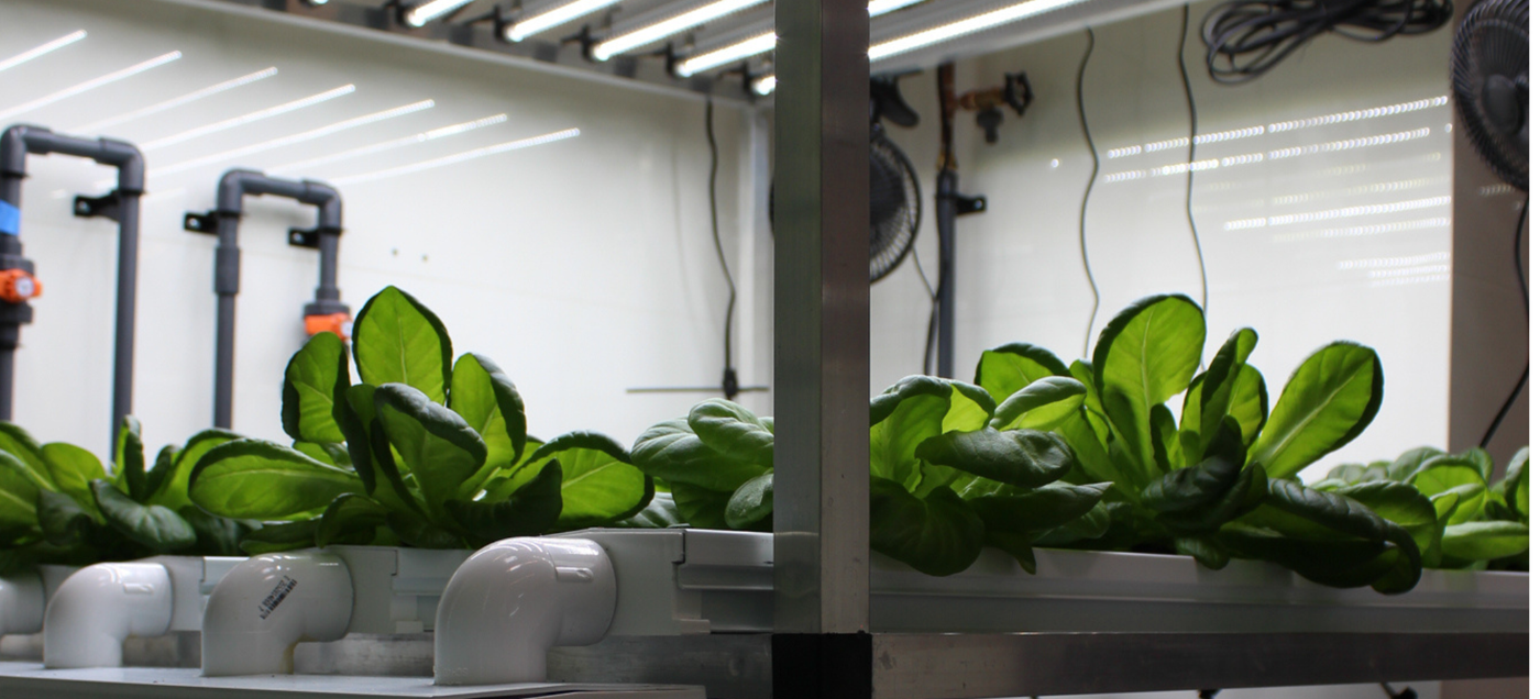 What Is Vertical Farming? The Definitive Explainer for 2026