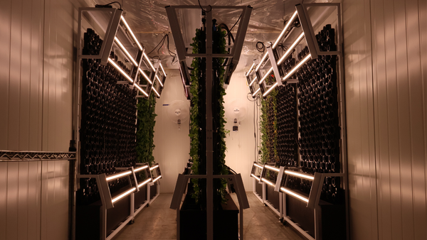 How Can Food Banks Use Container Farms to Grow Fresh Food Year-Round?