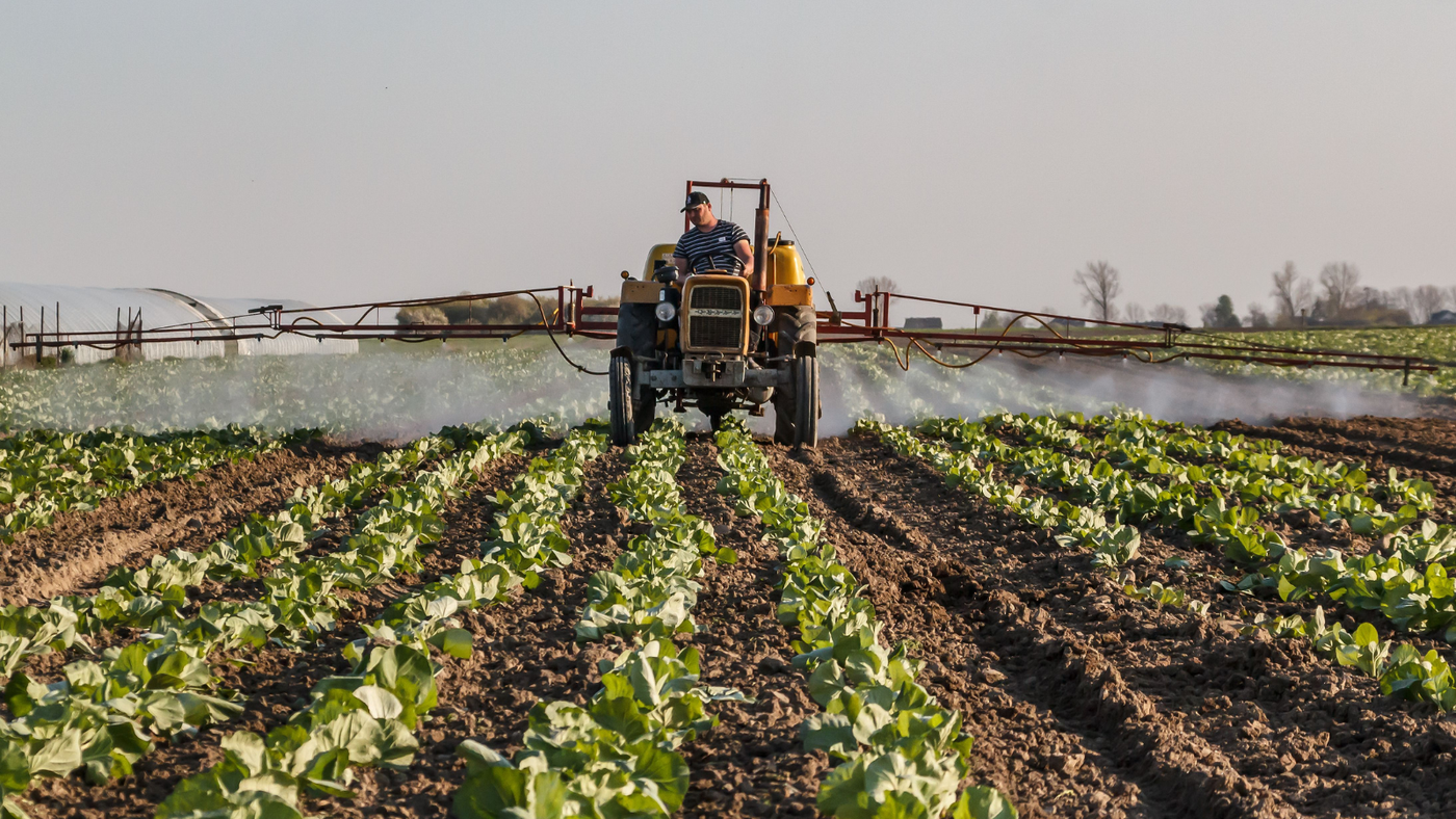 Why Vertical Farms Don't Flinch When Fertilizer Prices Do