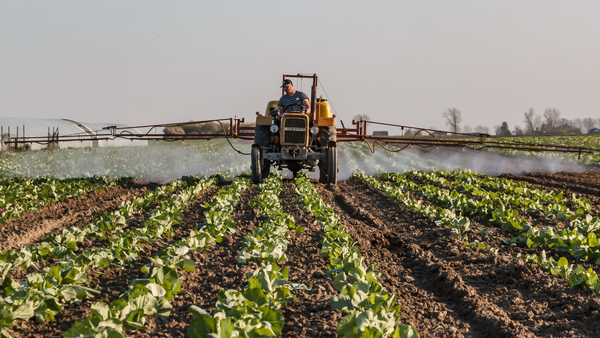 Why Vertical Farms Don't Flinch When Fertilizer Prices Do