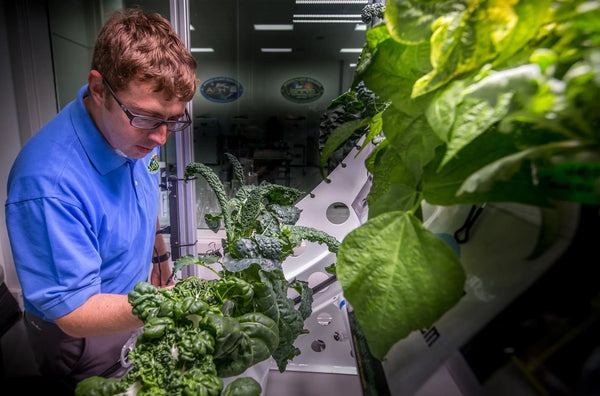Growing Salads on Mars: What Space Agriculture Teaches Earth's Cities