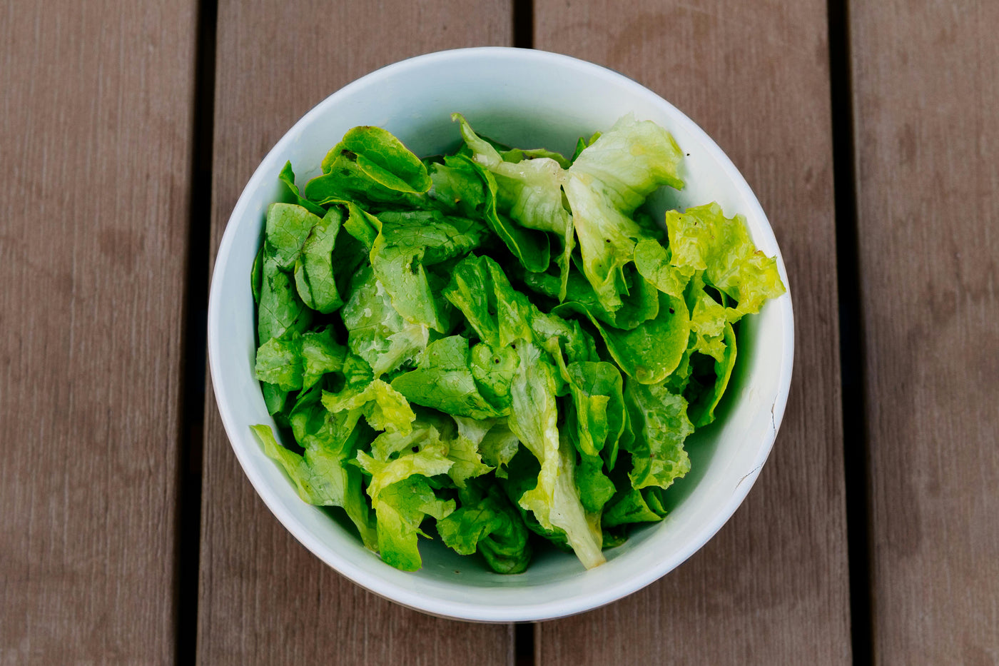 Salad in a bowl that has been grown hydroponically