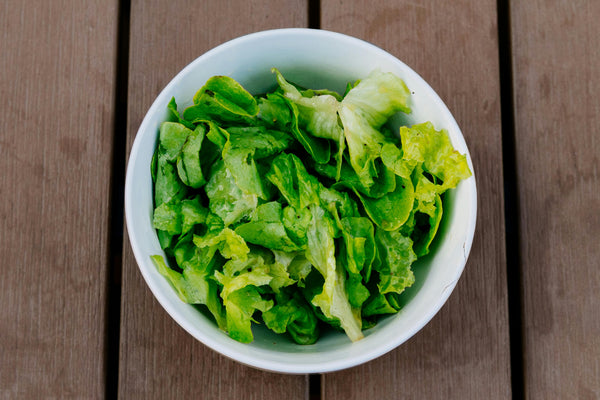 High-Performance Cultivars: The Best Varieties for Commercial Indoor Farms