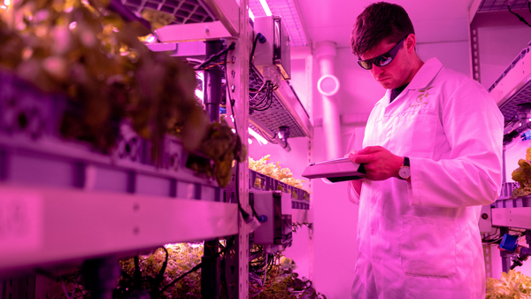 How Is Hydroponics Used in Schools? 5 Real Ways It Works Today