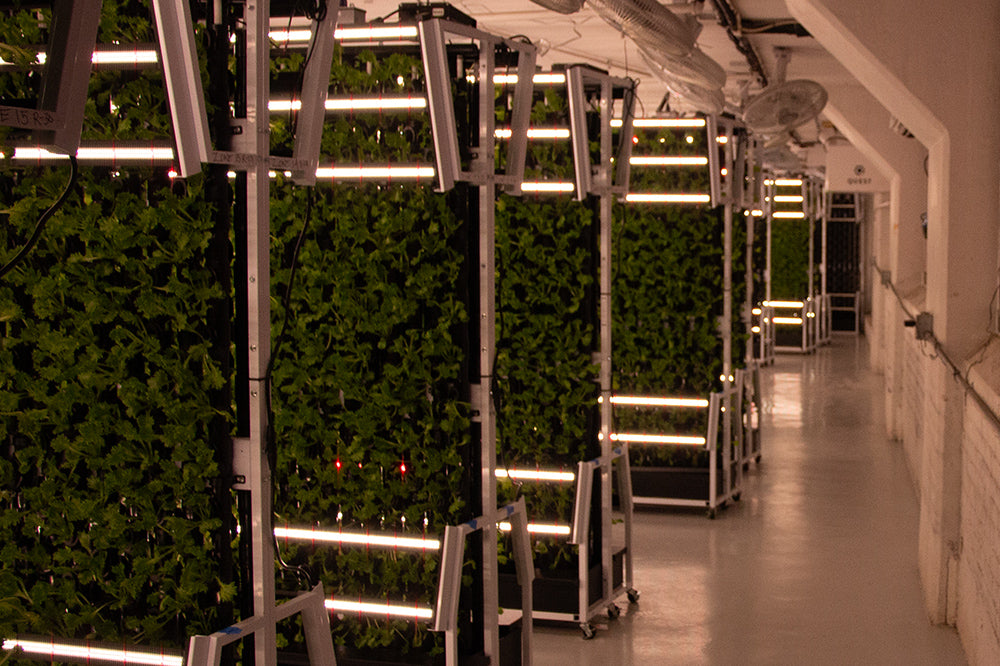Custom indoor farm. - Image 1