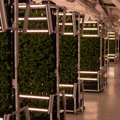 Custom indoor farm. - Image 1