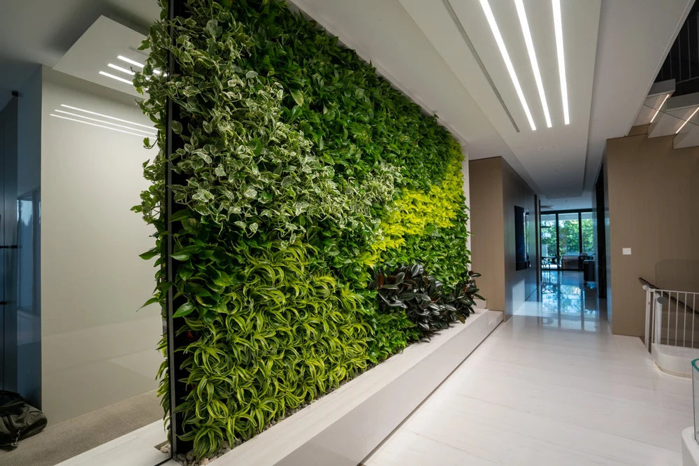 Tropical green walls. - Image 3