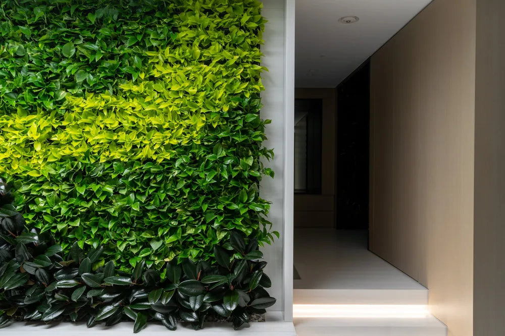 Tropical green walls. - Image 5