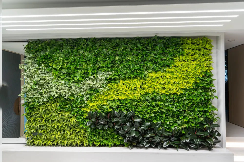 Tropical green walls. - Image 1