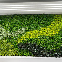 Tropical green walls. - Image 1