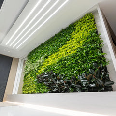 Tropical green walls. - Image 4