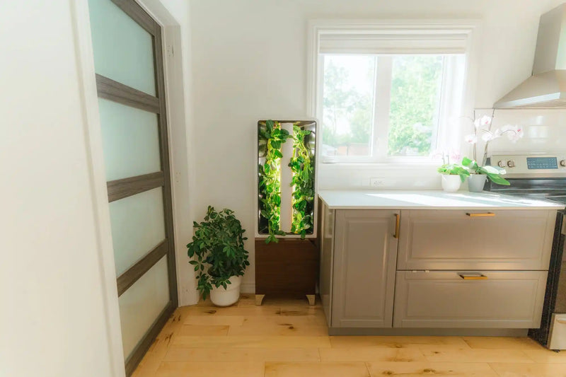 BOOK A MEETING - Just Vertical indoor farming solution