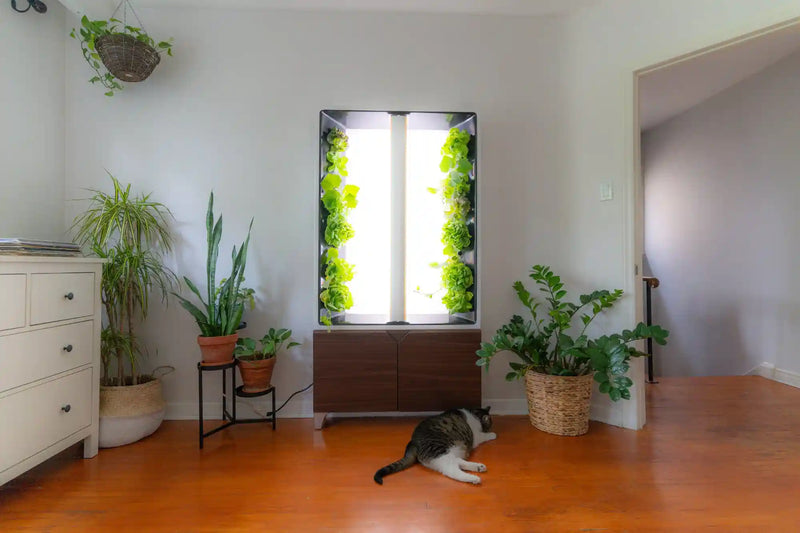 MEDIA KIT & RESOURCES - Just Vertical indoor farming solution