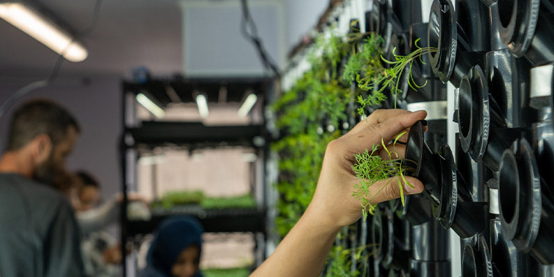 CONNECTICUT PROJECT - Just Vertical indoor farming solution