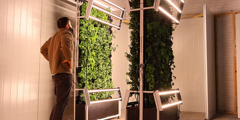 FREE STANDING GROW RACKS - Just Vertical indoor farming solution