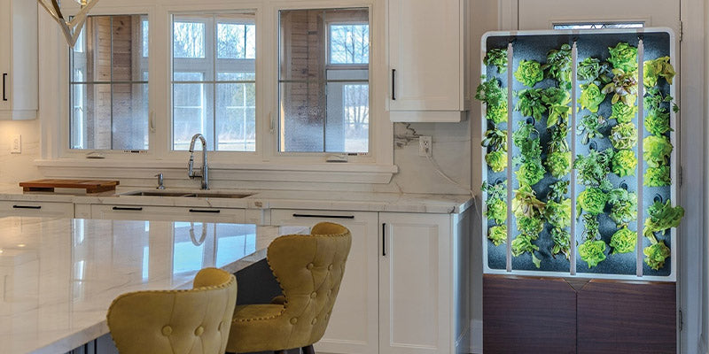 STANDALONE GROW WALL - Just Vertical indoor farming solution