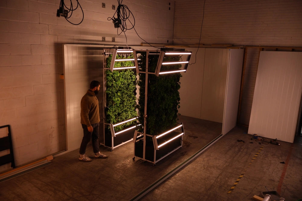 Grow racks. - Image 3