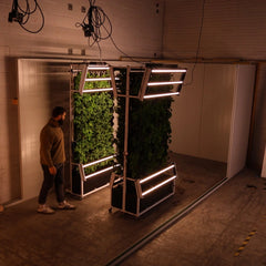Grow racks. - Image 3
