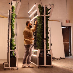 Grow racks. - Image 2