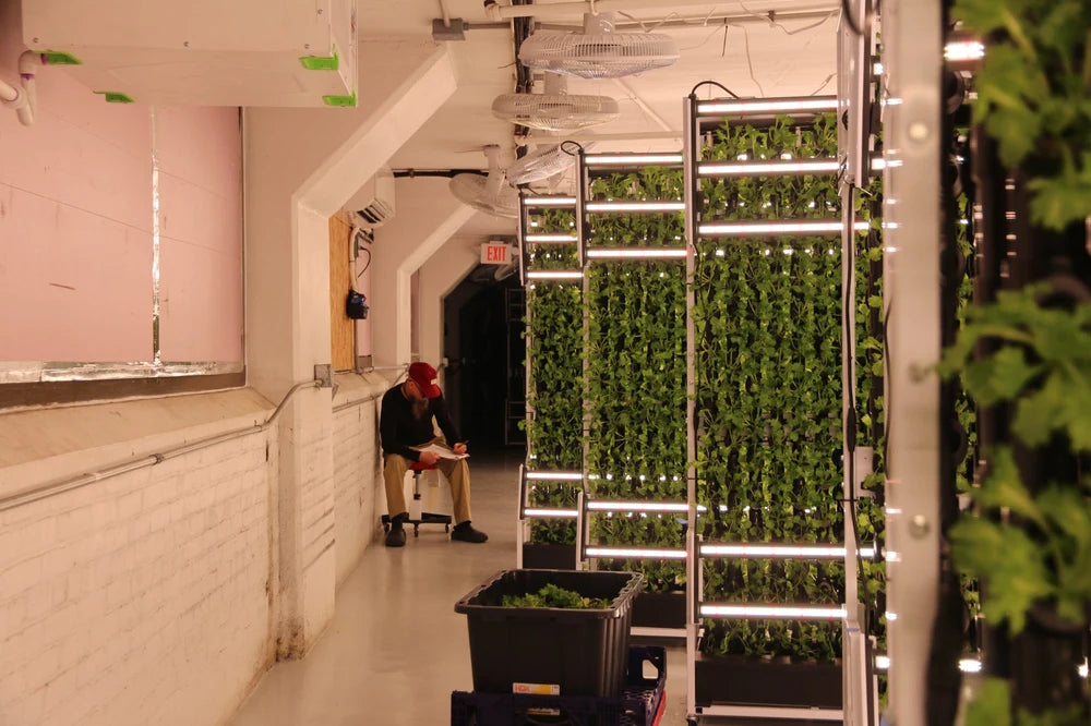 Custom indoor farm. - Image 3