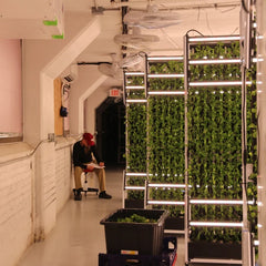 Custom indoor farm. - Image 3