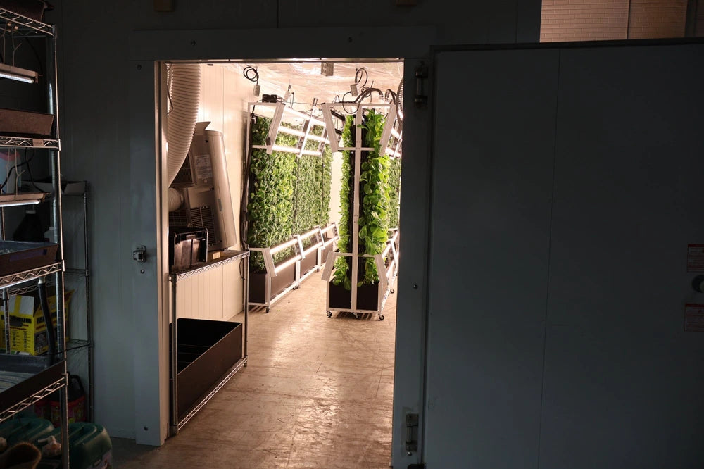 Container farms. - Image 3