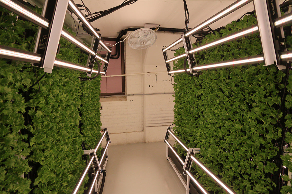 Grow racks. - Image 5