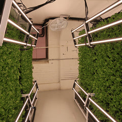 Grow racks. - Image 5