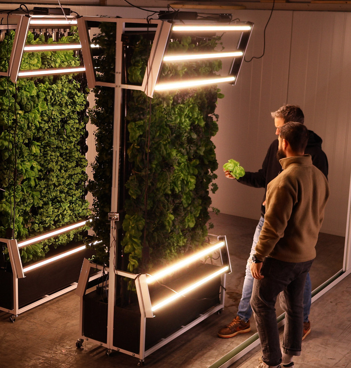 Indoor farms for government projects.