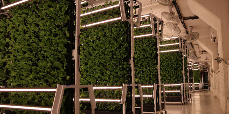 CUSTOM FARMS - Just Vertical indoor farming solution
