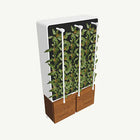 Standalone Grow Wall