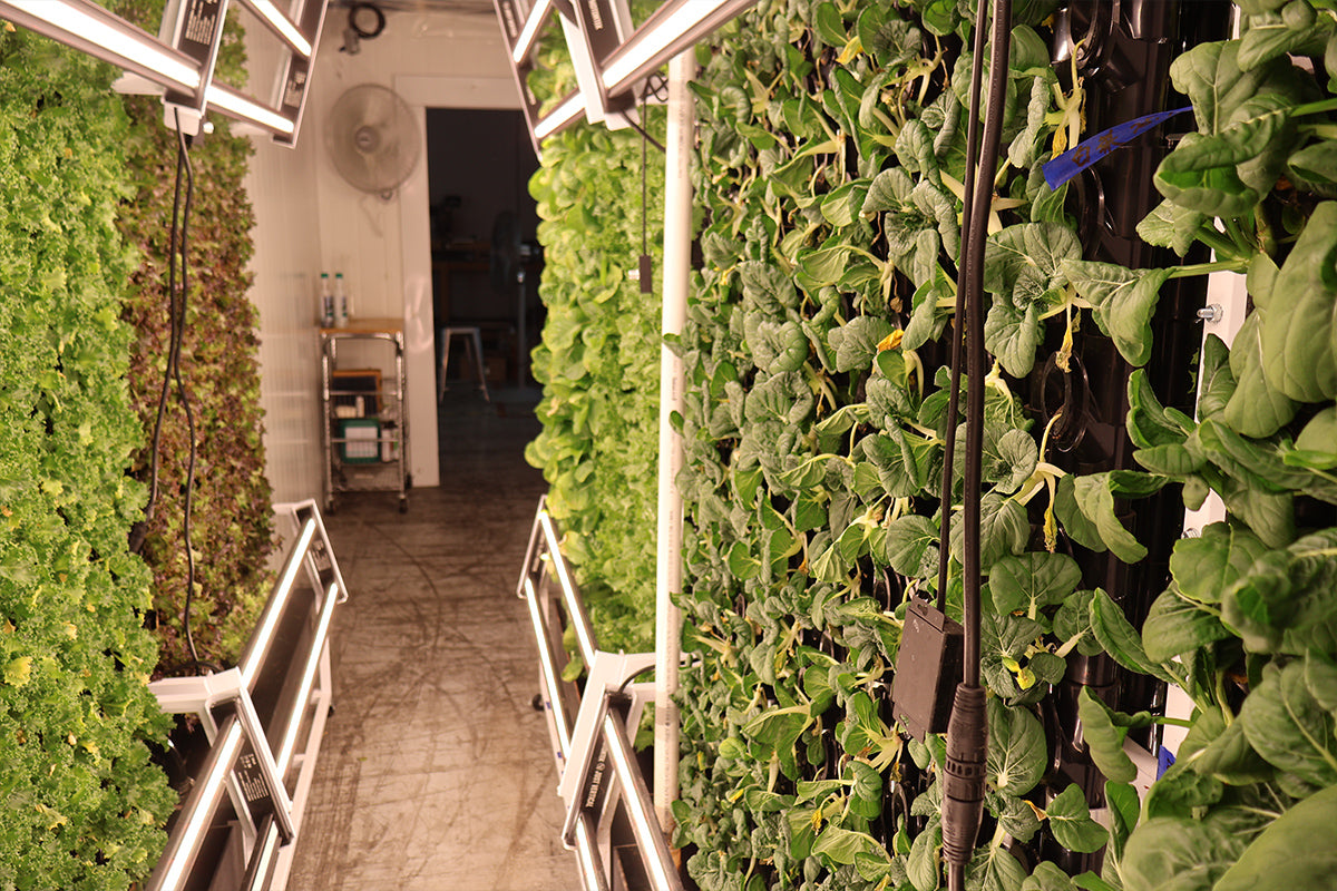 Container farms. - Image 5