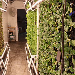 Container farms. - Image 5