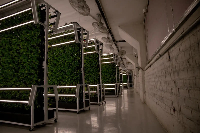 Custom Indoor Farms