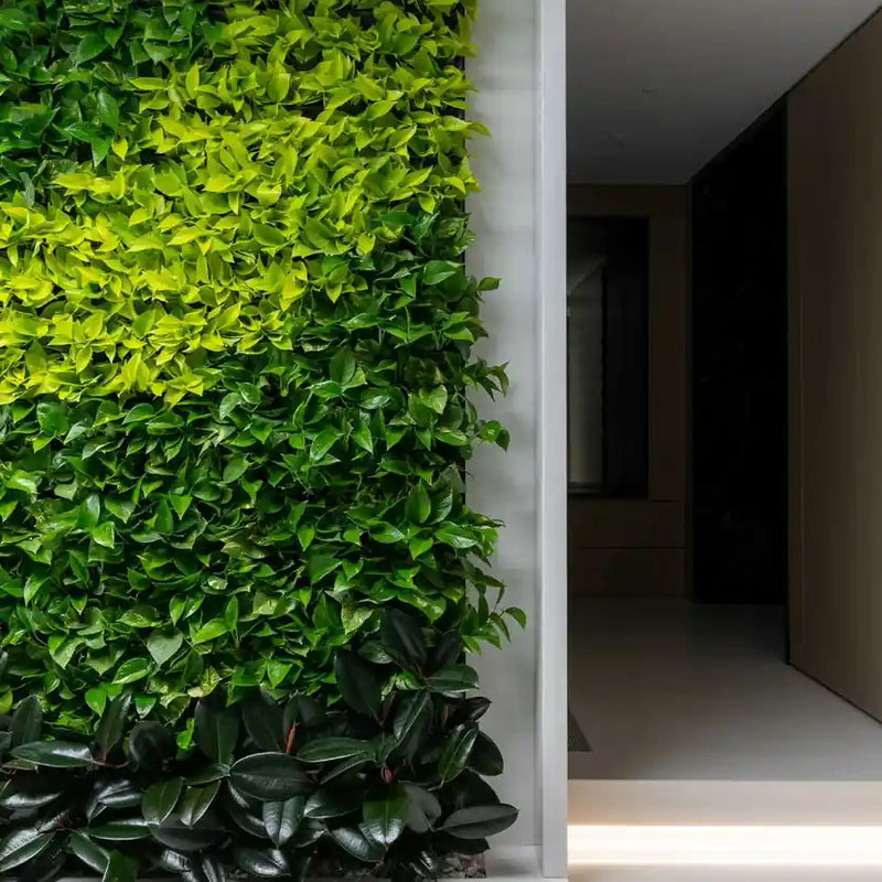Tropical Green Walls