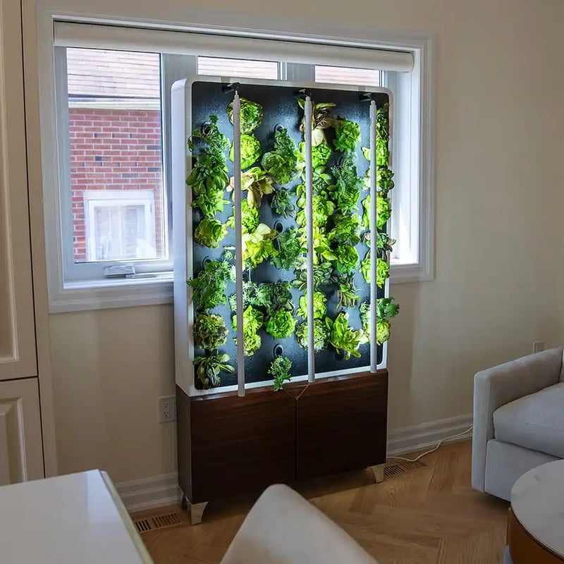 Standalone Grow Walls