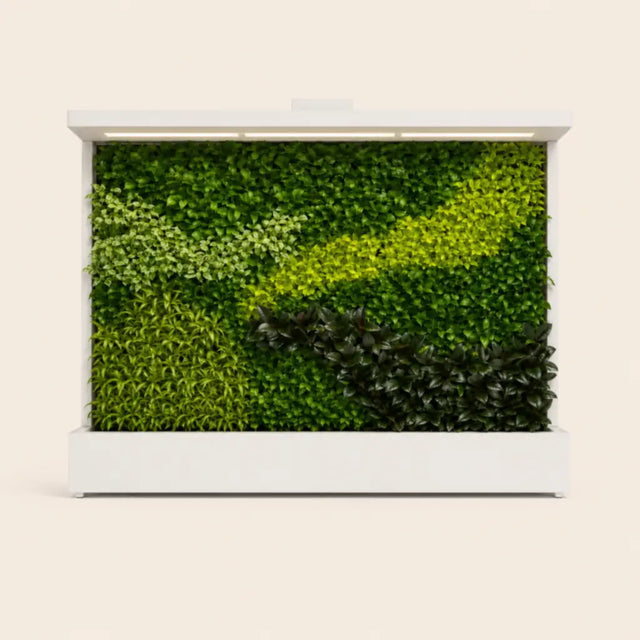 Tropical Green Wall